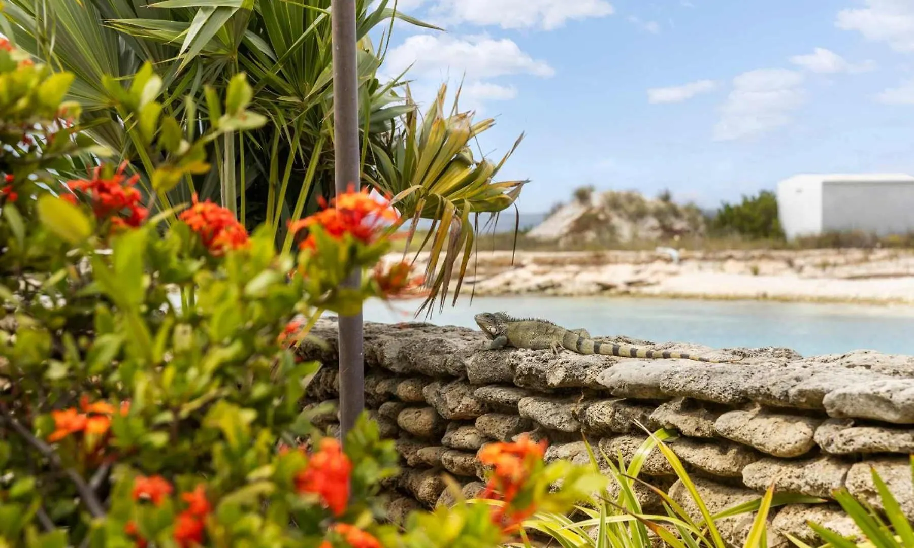 クラレンダイクPort Bonaire Bonmar A201 With Sea View And Sharedアパートメント クラレンダイク